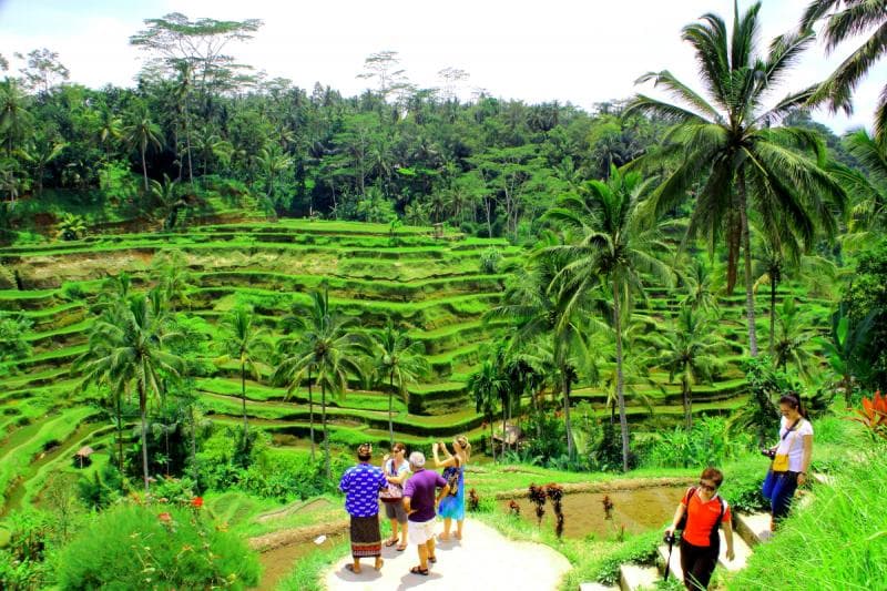 Terasering yang berundak-undak dari sawah Tegalalang Bali. (BaliGateAway)<br>