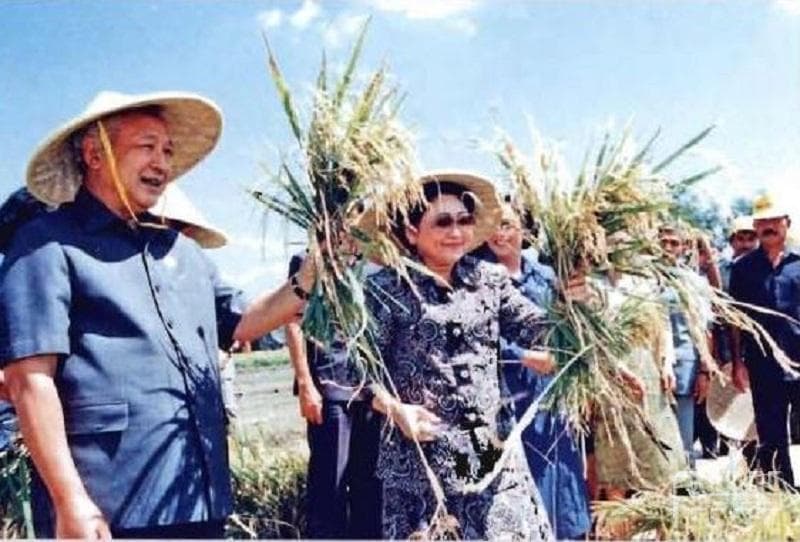 Soeharto mengeluarkan kebijakan revolusi hijau. (Cendana news)