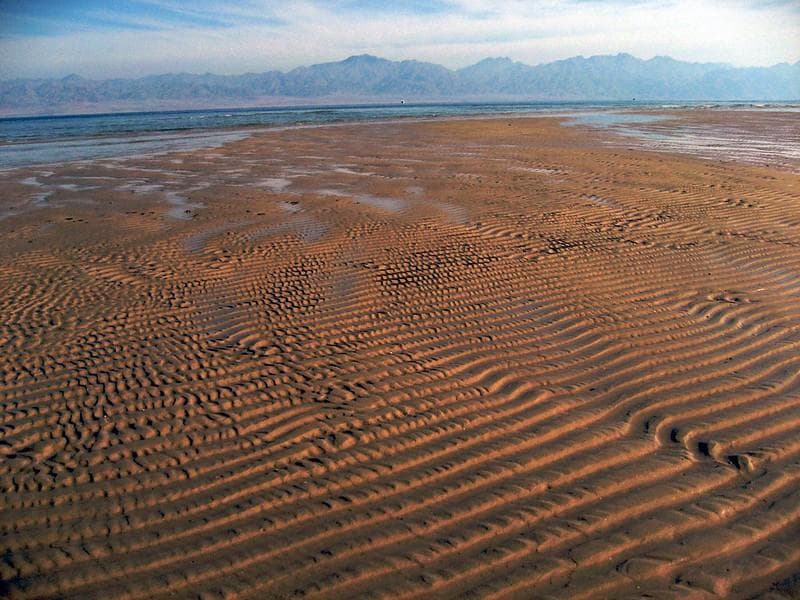 Pantai di tepi Laut Merah yang ada di Mesir. (Flickr/

Zdenek Svoboda)