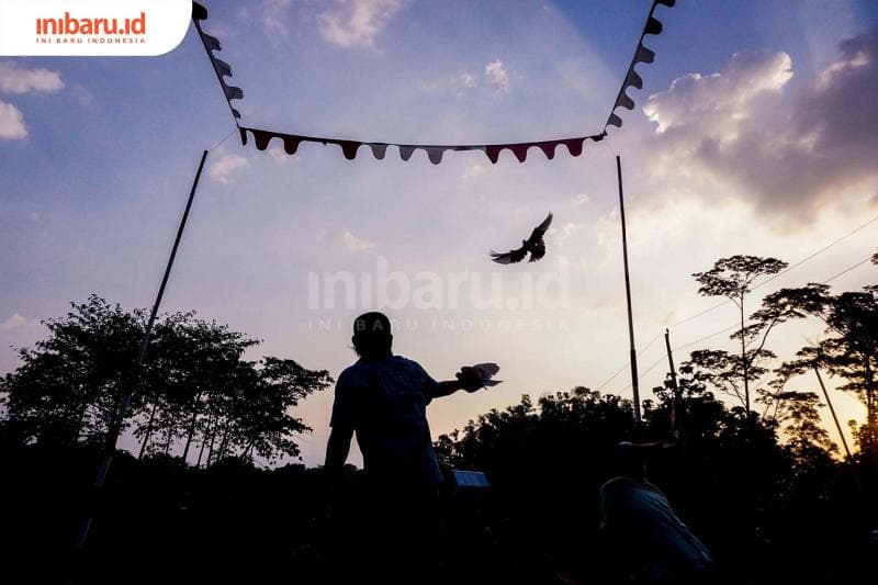 Pacuan merpati kolong di Kota Semarang. (Inibaru.id/ Audrian F)<br>