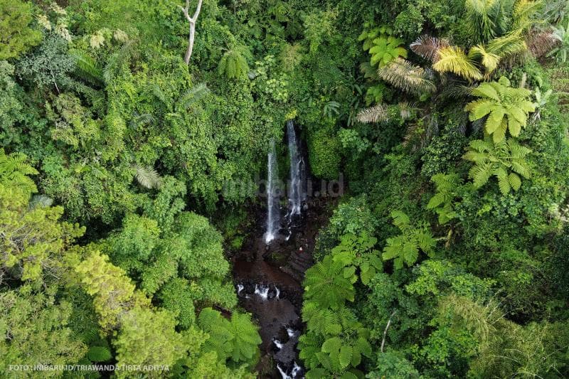 Foto air terjun Jumog dari ketinggian terlihat sangat asri.<br>