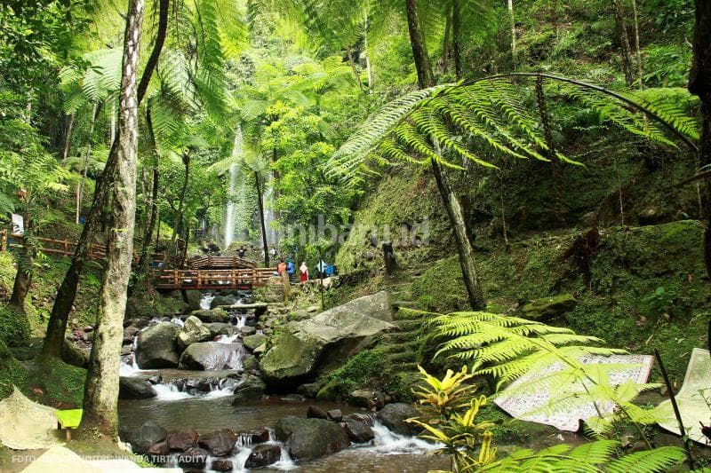 Butuh menyusuri 100 anak tangga agar kamu bisa sampai ke sumber air terjun.<br>
