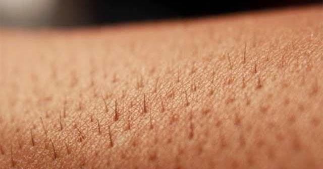 Mereka percaya penyakit dapat masuk dari pori-pori. (Acilhow)