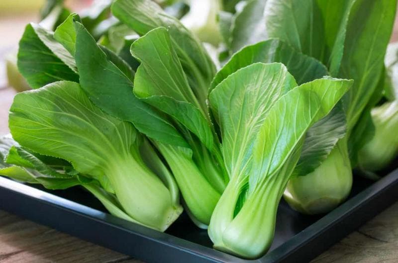 Pakcoy salah satu contoh tanaman organik dengan ukurannya yang kecil. (DokterSehat)<br>