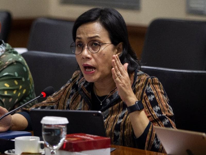 Menteri Keuangan Sri Mulyani Indrawati menjelaskan kondisi angkatan kerja di Indonesia. (Pinterpolitik)