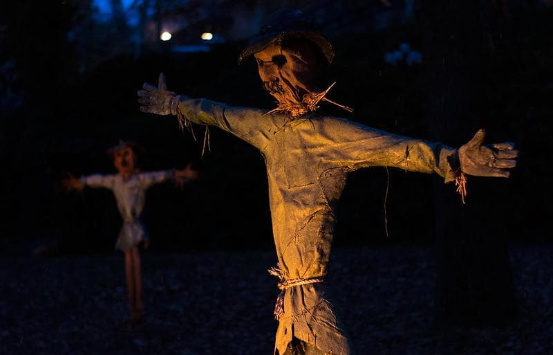 Meski terlihat konyol, kasus Covid-19 di Kamboja cenderung sangat minim. (Flickr/Özgür Cam)