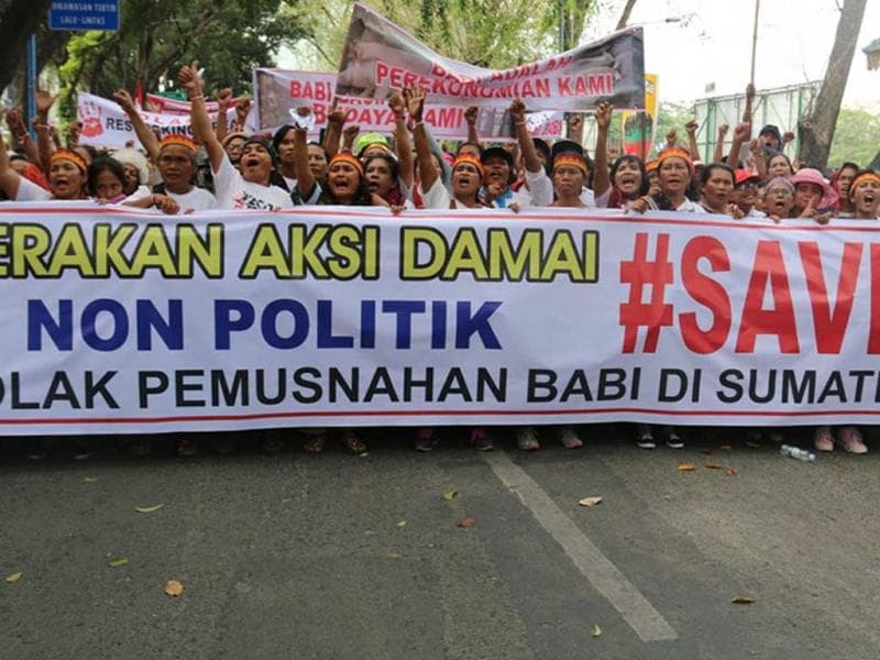 Aksi Demo Save Babi di Sumatera Utara. (Tagar/Humas DPRD Sumut)