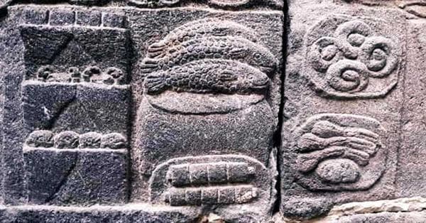 Relief ikan di Candi Borobudur, Ikan menjadi makanan kerajaan. (Nusadaily)<br>