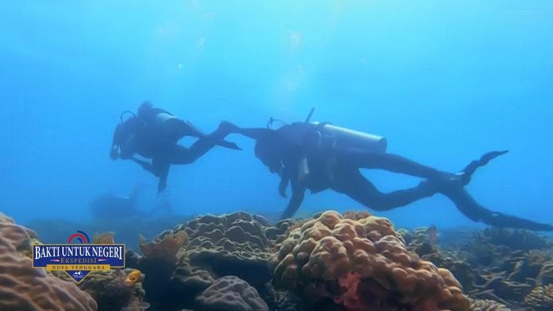Pemandangan bawah laut Labuan Bajo. (Dok. Metro TV)<br>