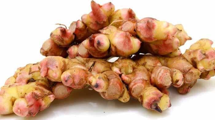 Jahe merah juga bermanfaat untuk meningkatkan kesuburan laki-laki, lo. (Gambar.lampung)