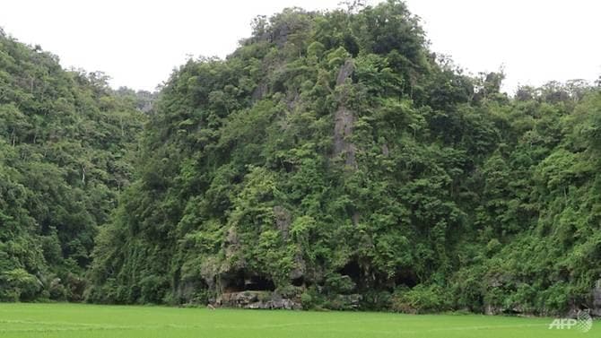 Lembah tempat ditemukan lukisan tertua di dunia di Sulawesi. (Goodnewsfromindonesia/NatGeo)