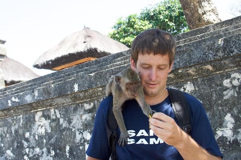 Ilustrasi: Monyet di Uluwatu Bali mempelajari para wisatawan yang datang sebelum memutuskan untuk mencuri benda mana yang dianggap paling berharga. (Flickr/

Zach Taylor)