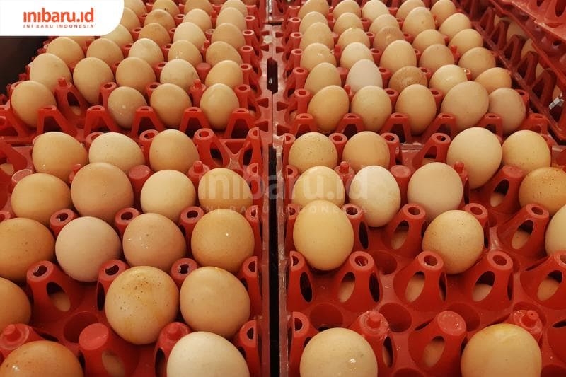 Olah telur dengan benar. (Inibaru.id/ Triawanda Tirta Aditya)