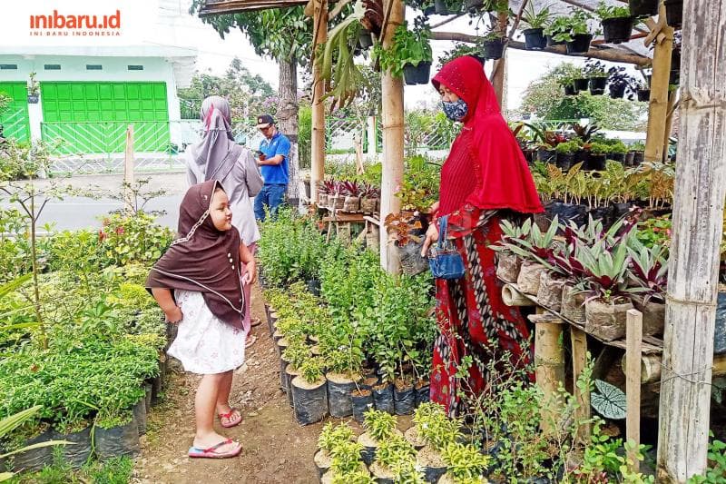 Salah satu toko tanamaman hias di daerah bandungan. (Inibaru.id/ Zulfa Anisah)