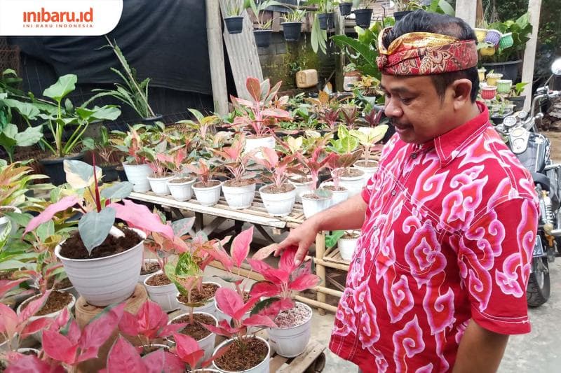 Rasional di Tengah Pusaran 'Monkey Business' Tanaman Hias, Bisakah?