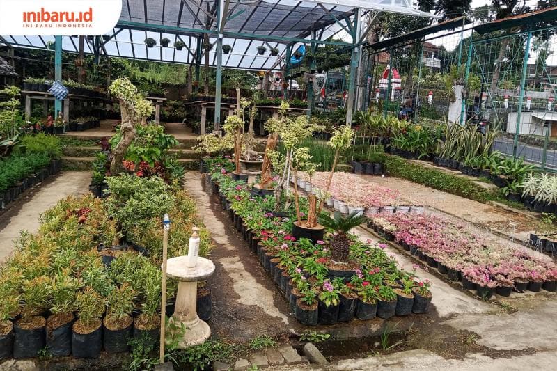 Mungkinkah para penjual juga terjebak bisnis nakal ini?&nbsp; (Inibaru.id/ Zulfa Anisah)