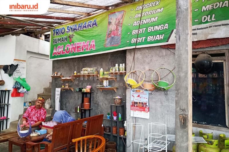 Toko tanaman hias milik Gito.&nbsp; (Inibaru.id/ Zulfa Anisah)