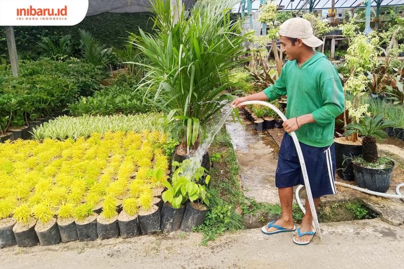 Penjual bunga juga harus mampu merawat dan membudaidayakan sendiri. (Inibaru.id/ Zulfa Anisah)