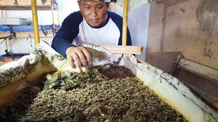 Nggak perlu modal yang banyak. (Tribunnews.com)