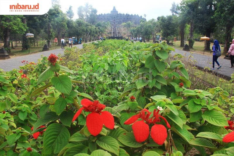 Candi Borobudur di Magelang, bukan di Jogja. (Inibaru.id/Triawanda Tirta Aditya)