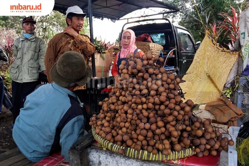 Kelengkeng Bandungan, Langgeng di Tengah Serbuan Produk Impor yang Bertebaran
