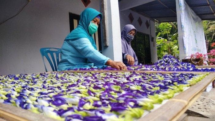 Jemur di bawah sinar matahari. (Radar Tulungagung)