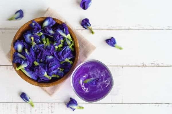 Bagaimana pengeringan bunga telang yang tepat? (MSN)