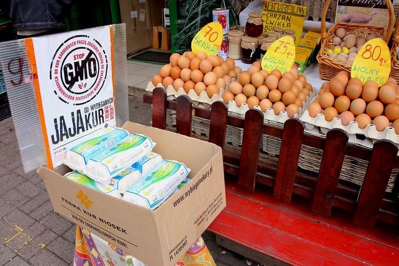 Produk Pangan Transgenik, Hasil Rekayasa Genetika yang Dianggap Berbahaya, Benar atau Salah?