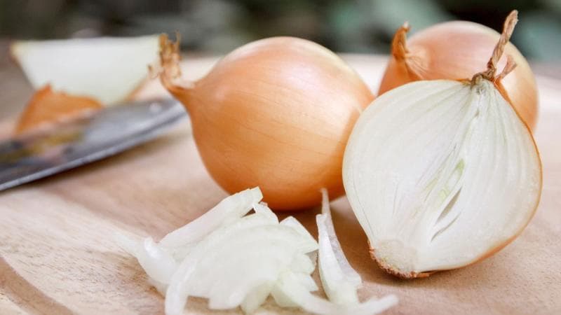 Bawang-bawangan bahaya bagi kucing. (Shutterstock)