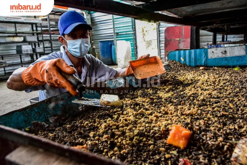 Demi Masa Depan Pengelolaan Sampah Organik yang Lebih Baik, DLH Kota Semarang Kerahkan Tentara Hitam