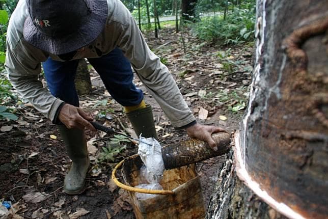 Bakal Jadi Barang Langka, Persediaan Karet Dunia Menipis