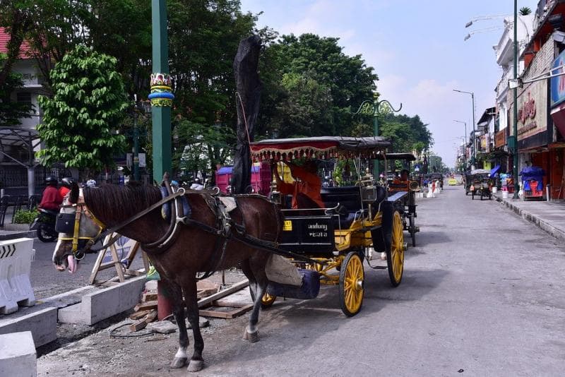 Kini Jadi Transportasi Wisata, Dulu Andong Jadi Penanda Status Sosial di Keraton