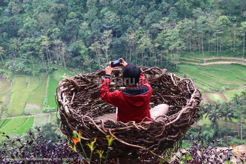Spot selfie sangkar burung yang menghadap langsung.<br>