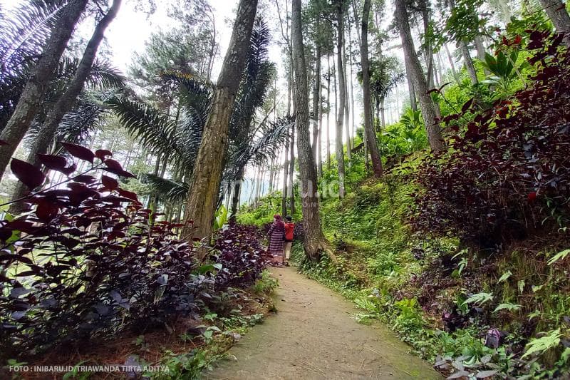 Kamu harus berjalan 5 menit untuk bisa sampai ke tempat wahana dan spot selfie.<br>