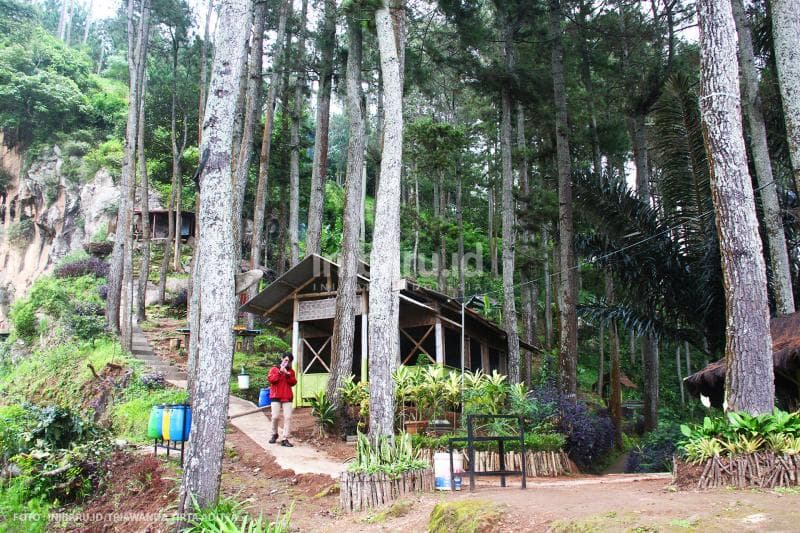 Lokawisata ini dikelilingi oleh banyak pohon cemara.<br>