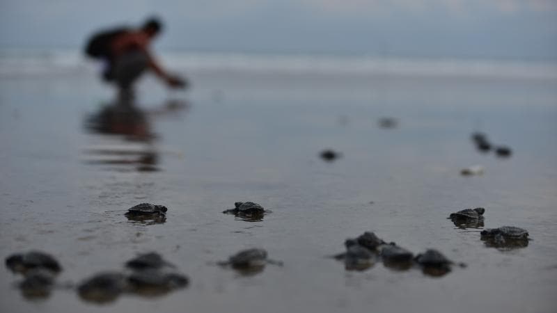 Pantai Ngagelan. (Pikiran rakyat - Febri AP)
