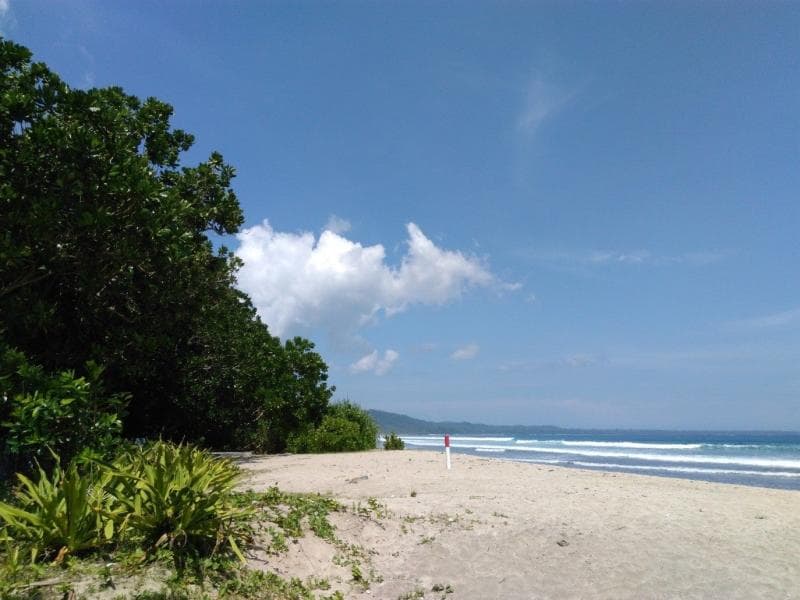 Pantai Trianggulasi. (Surgaalaspurwo.com)