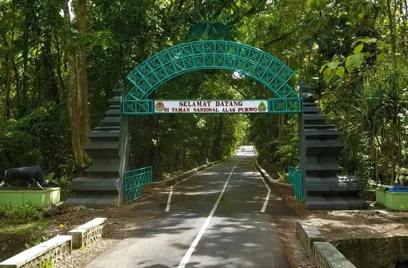 Wisata ke Alas Purwo, tempat yang sering dikira menyeramkan dan penuh hal mistis. (petawisatadunia.blogspot)