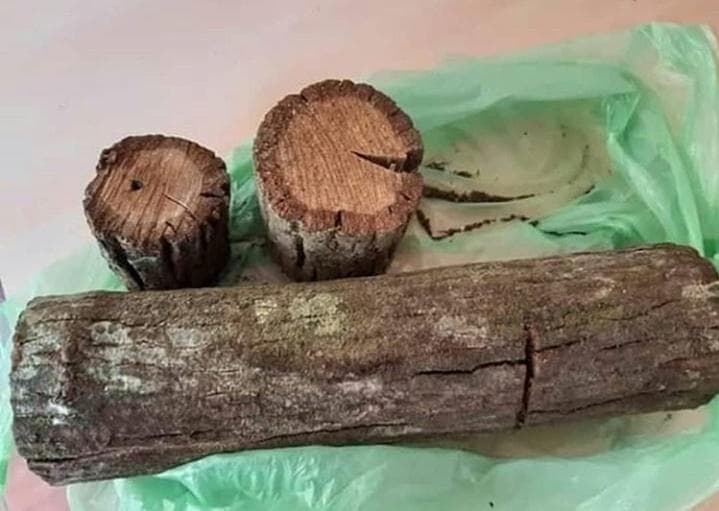 Kayu Bajakah Dipercaya Mampu Sembuhkan Kanker; Ampuh, tapi Mematikan!