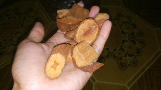 Kamu harus jeli ketika membeli bajakah. (Infonongol)