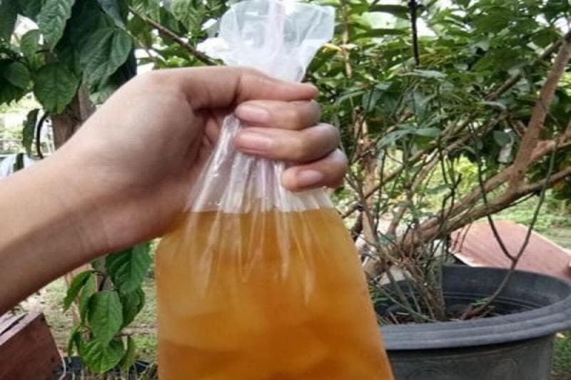 Minuman dibungkus plastik. (Solopos)