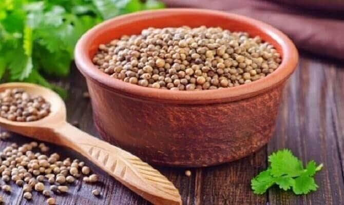 Menanam ketumbar nggak sulit. (Net/Ist)<br>