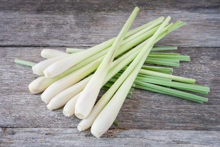 Serai yang memarkan sangat cocok sebagai tambahan memasak menu khas tertentu. (iStock)