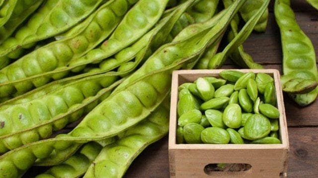 Petai bisa cegah mengurangi gatal-gatal. (Faktualnews)<br>