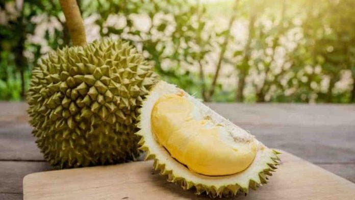 Serat durian bagus untuk pencernaan. (Harapanrakyat)<br>