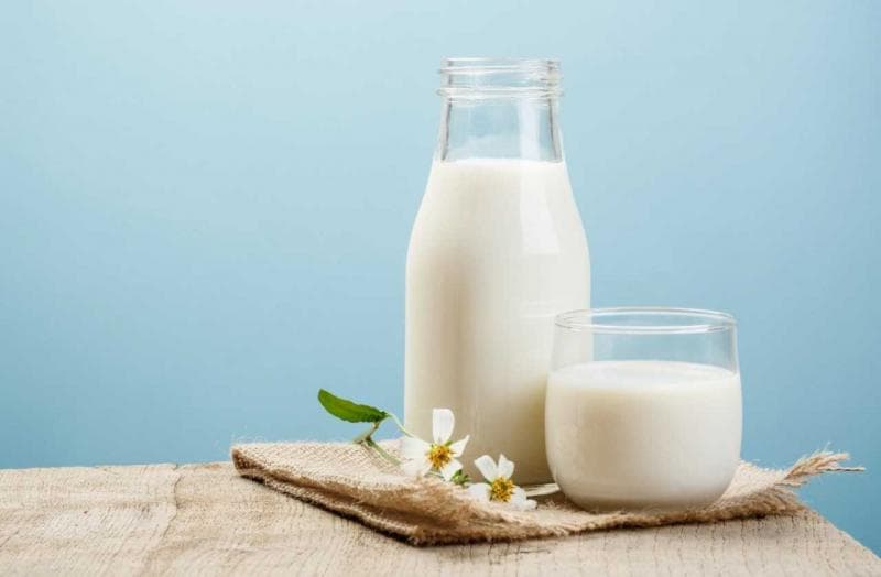 Susu kaya dengan kandungan zat melawan bakteri, seperti probiotik. (Shutterstock)<br>