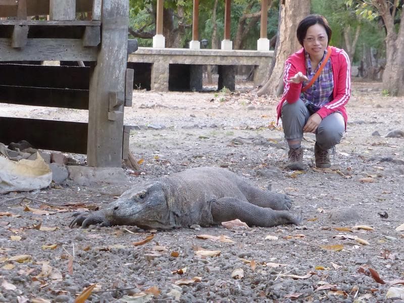 Perempuan Haid Nggak Boleh Ketemu Komodo?