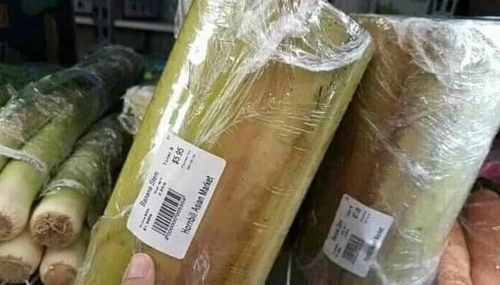 Di Amerika Serikat, gedebog pisang berukuran kecil dihargai sekitar Rp 85 ribu. (Islampos)