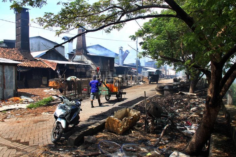 Suasana dari landskap Kampung Mangut Bandarharjo.<br>
