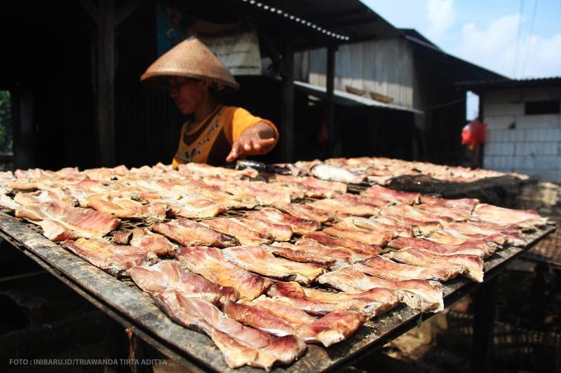 Proses pengeringan ikan sebelum dipanggang.<br>